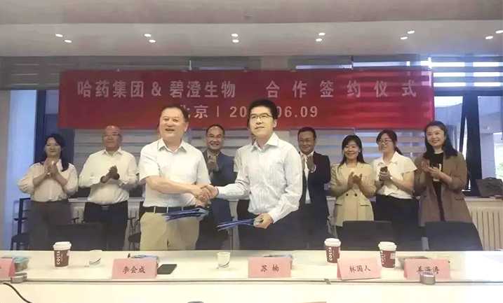 哈藥攜手清華大學，強強聯合共創膠原蛋白行業未來